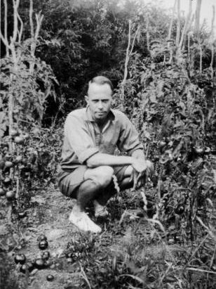 Frank Sargeson in his garden, Takapuna, Auckland, 1932, with an early tomato crop, PAColl-1581-3-271, Alexander Turnbull Library, Wellington, New Zealand